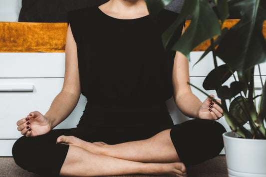 Building a Distress Tolerance Toolbox: Creating Safety with CBT and DBT