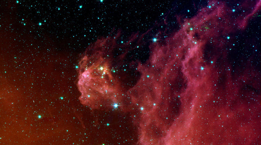 Young Stars Emerge from Orion Head